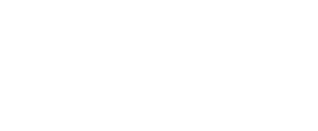 Fernando Junior